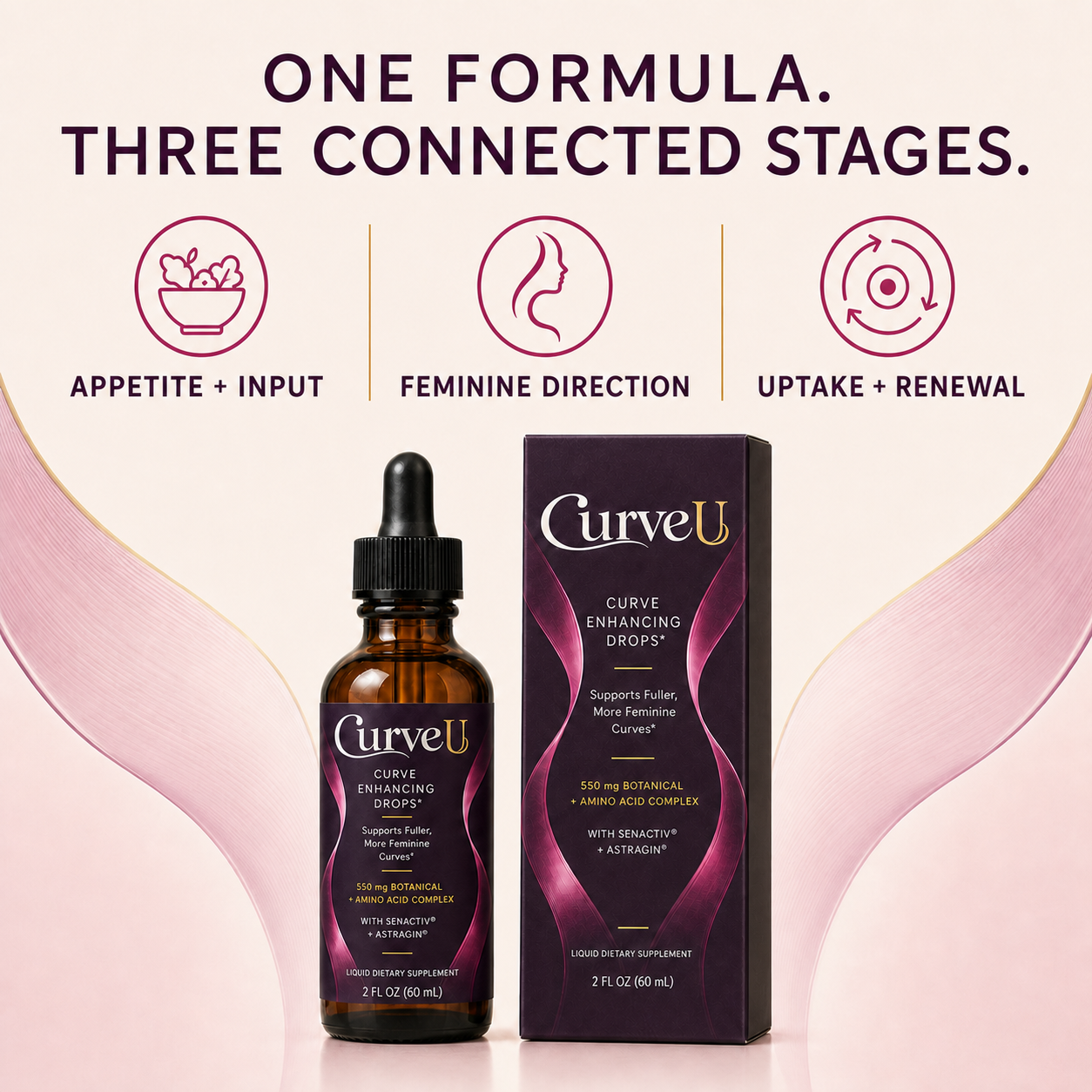 CurveU three connected stages: appetite and input, feminine direction, uptake and renewal